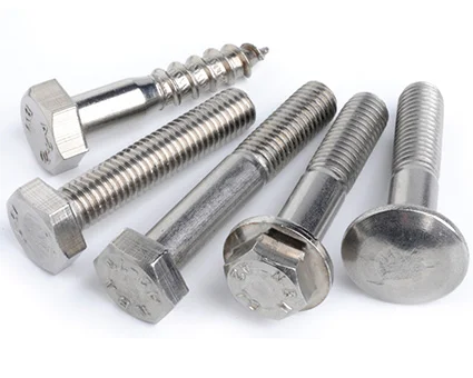 Stainless Steel (SS) Bolts